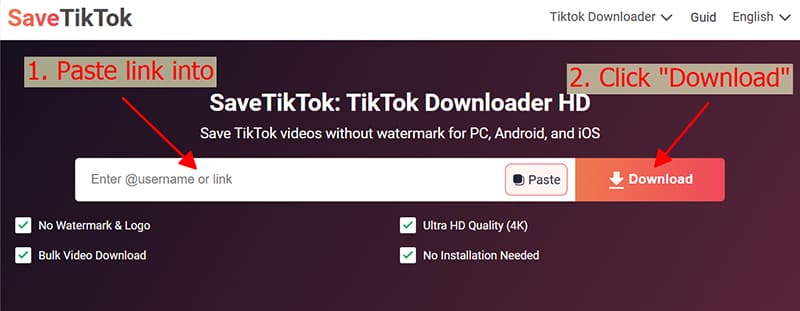 paste url into savetiktok