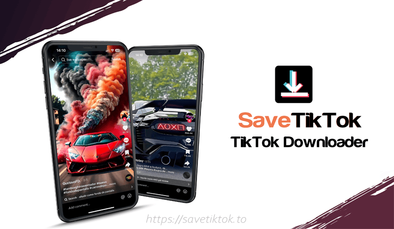 SaveTikTok